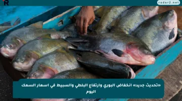 «تحديث جديد» انخفاض البوري وارتفاع البلطي والسبيط في أسعار السمك اليوم
